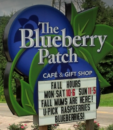 The Blueberry Patch  ブルーベリー狩りとワイナリー